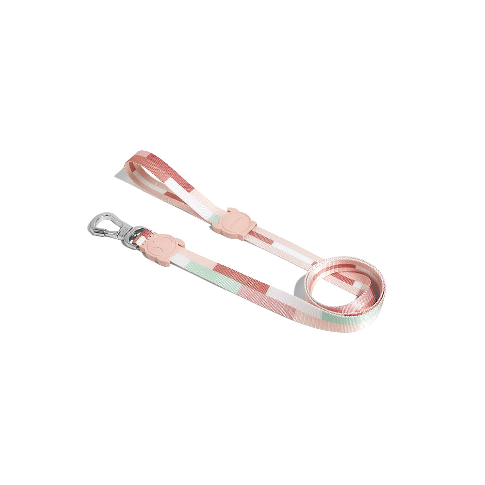 Zee Dog Leash - Laguna