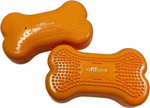 K9FITbone Training Platform
