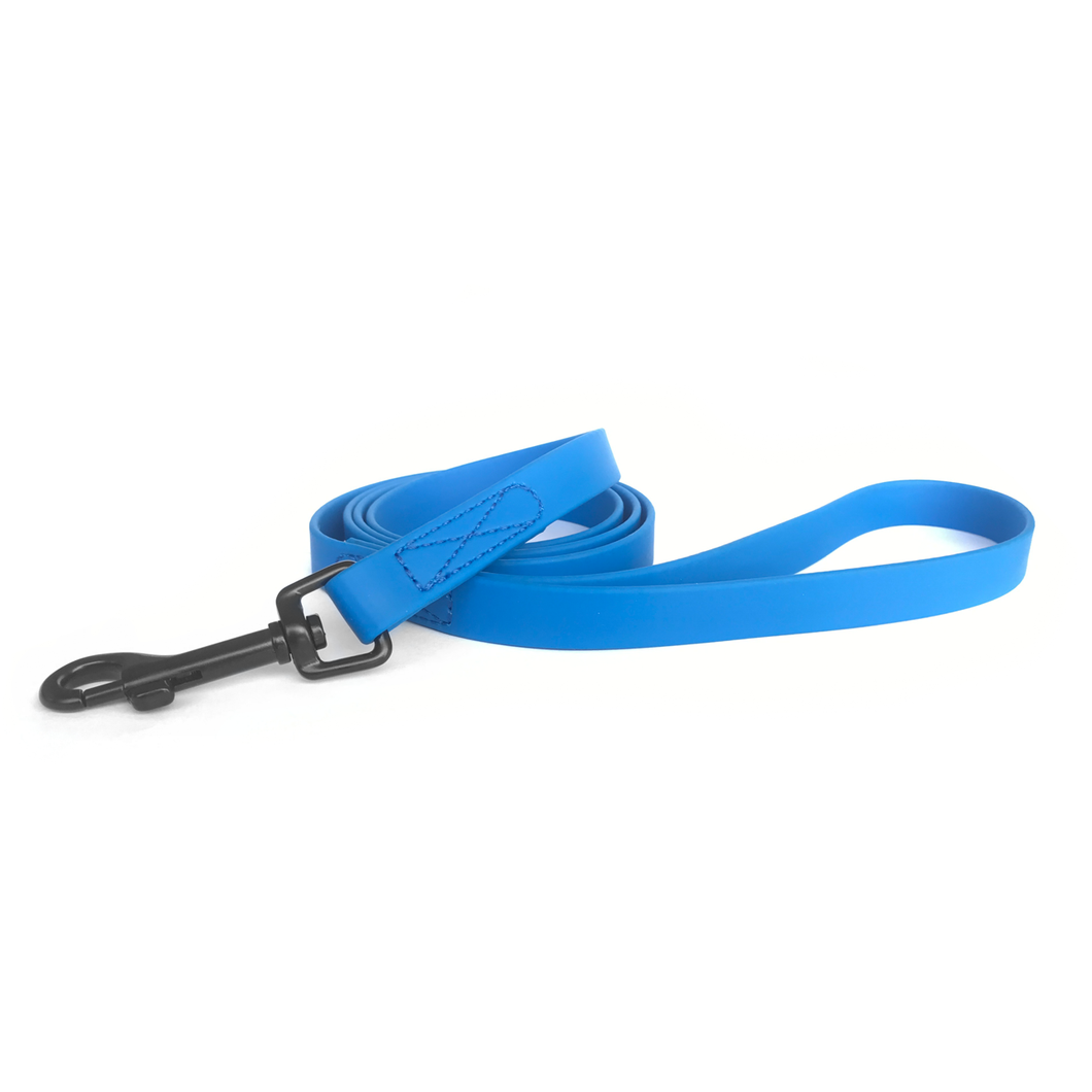 Nimble Leash - Blue