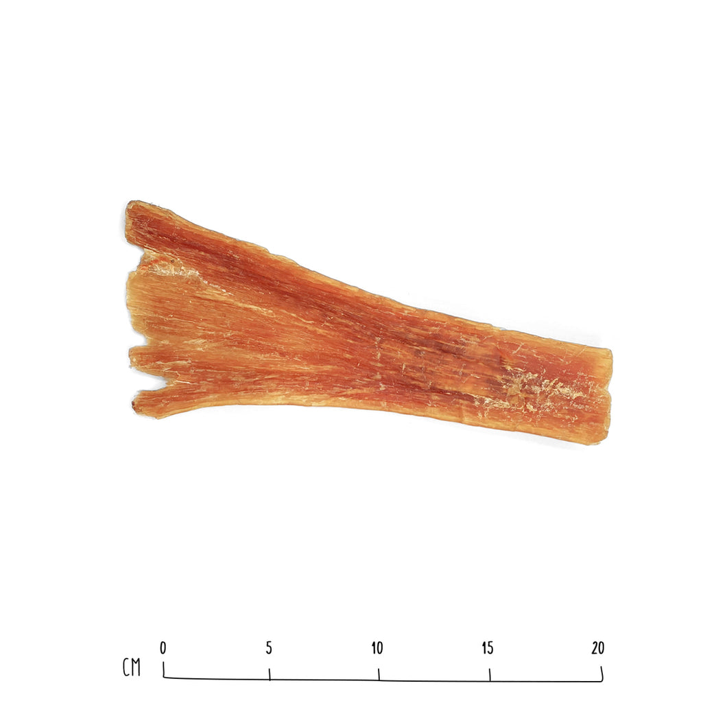Organic Beef Backstrap