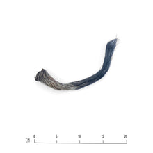 Load image into Gallery viewer, Air-Dried Pork Tail Tip
