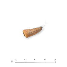 Load image into Gallery viewer, Air-Dried Pork Tail Tip
