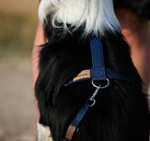 Load image into Gallery viewer, Haqihana Harness - Blue
