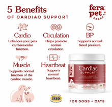 Load image into Gallery viewer, Cardiac Support
