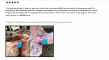 Load image into Gallery viewer, Probiotic Shampoo + Conditioner - Dog of the woods
