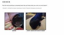Load image into Gallery viewer, Probiotic Shampoo + Conditioner - Dog of the woods
