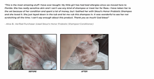 Load image into Gallery viewer, Probiotic Shampoo - Lavender
