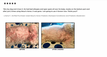 Load image into Gallery viewer, Probiotic Shampoo + Conditioner - Dog of the woods
