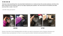 Load image into Gallery viewer, Probiotic Shampoo - Honeysuckle
