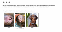 Load image into Gallery viewer, Probiotic Pet Ear Cleaner
