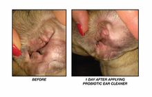 Load image into Gallery viewer, Probiotic Pet Ear Cleaner
