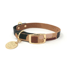Load image into Gallery viewer, Two Tone Dog Collar : Shapes
