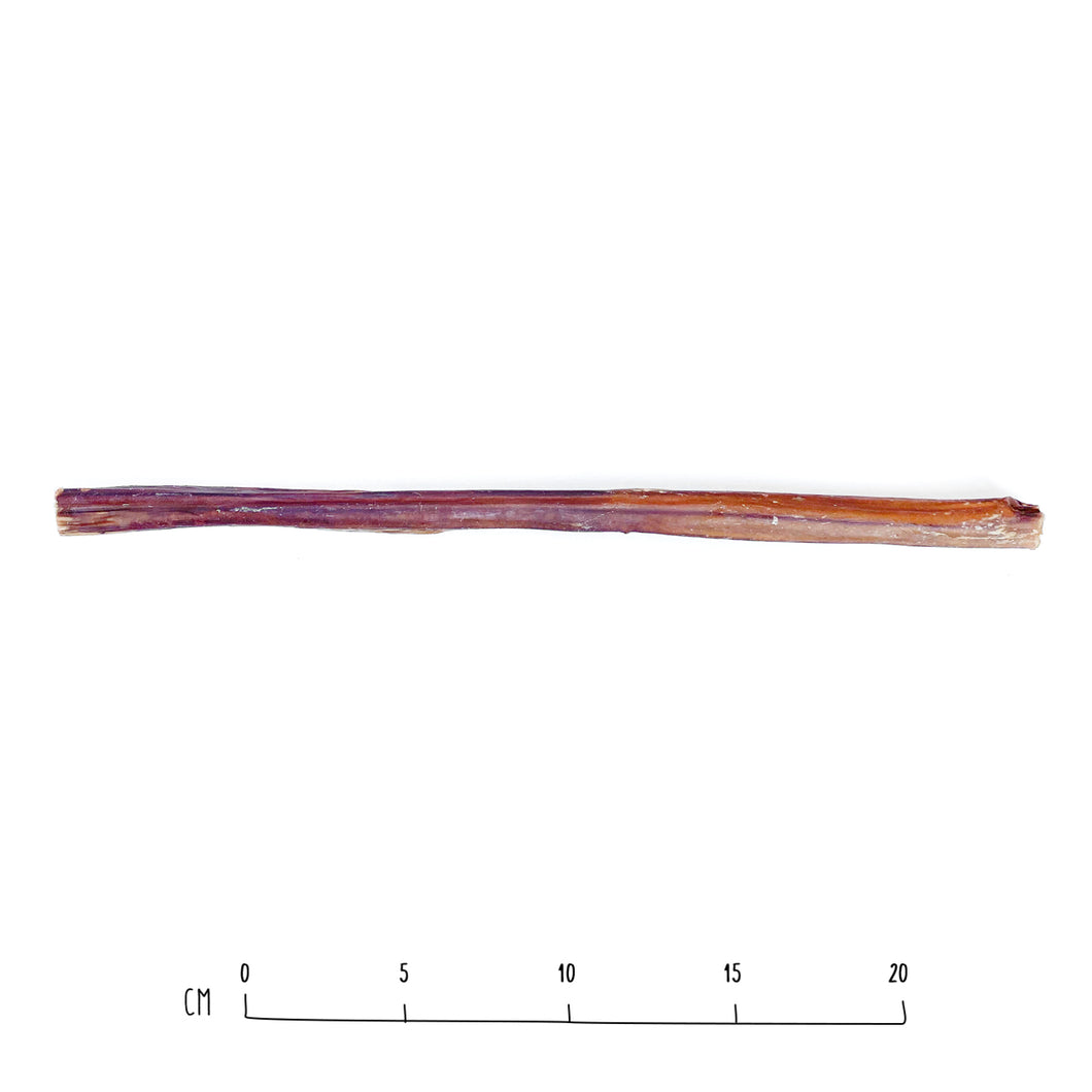 Bully Stick
