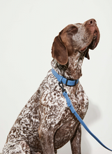 Load image into Gallery viewer, Yonder Collar - Blue
