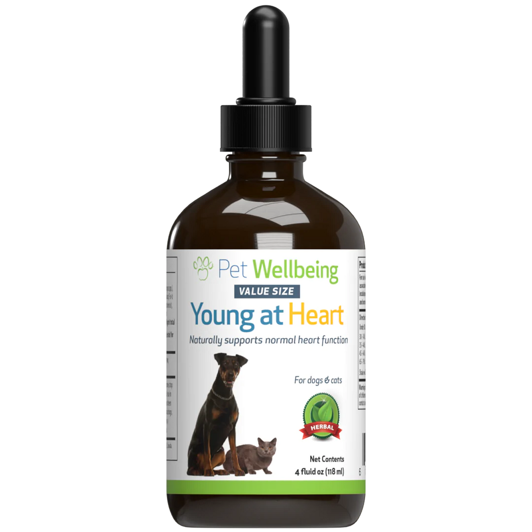 Young at Heart - for Healthy Heart Maintenance in Dogs & Cats