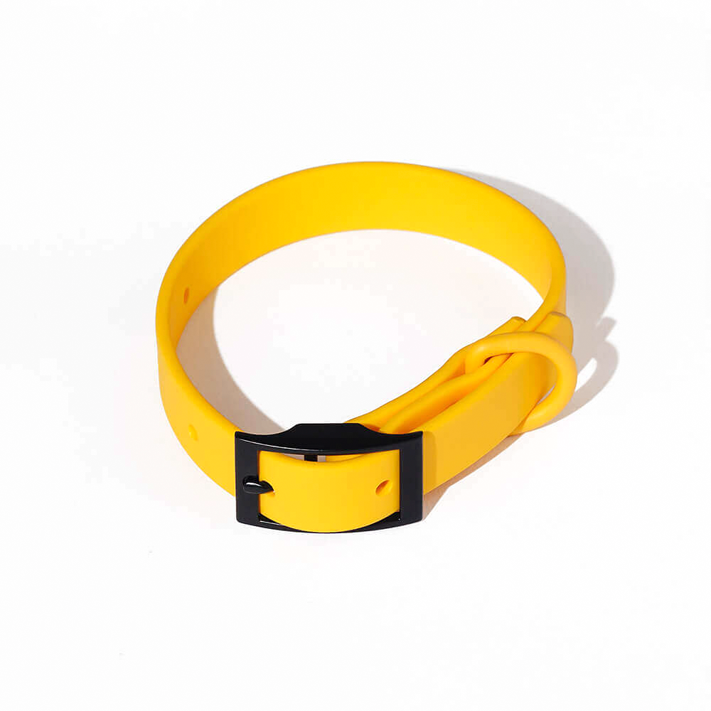 Yonder Collar - Yellow