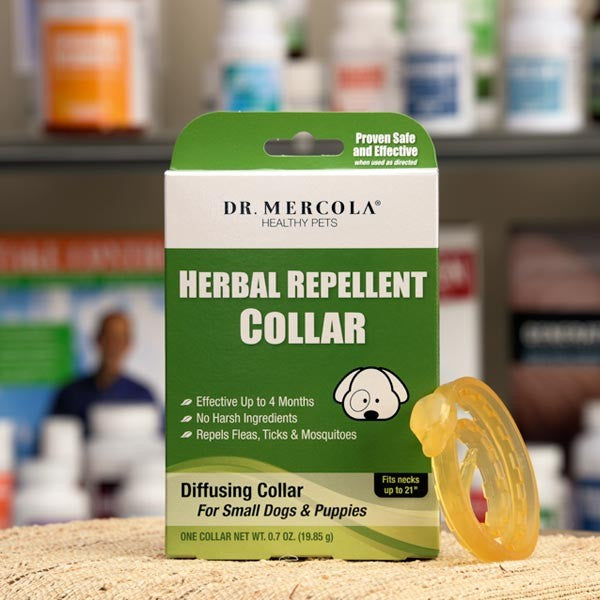 Herbal Tick Collar KIN DOG GOODS