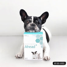 Load image into Gallery viewer, Fitpet Ahead (urine test)
