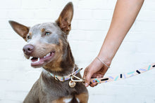Load image into Gallery viewer, Tiggy Leash : Aqua Violet
