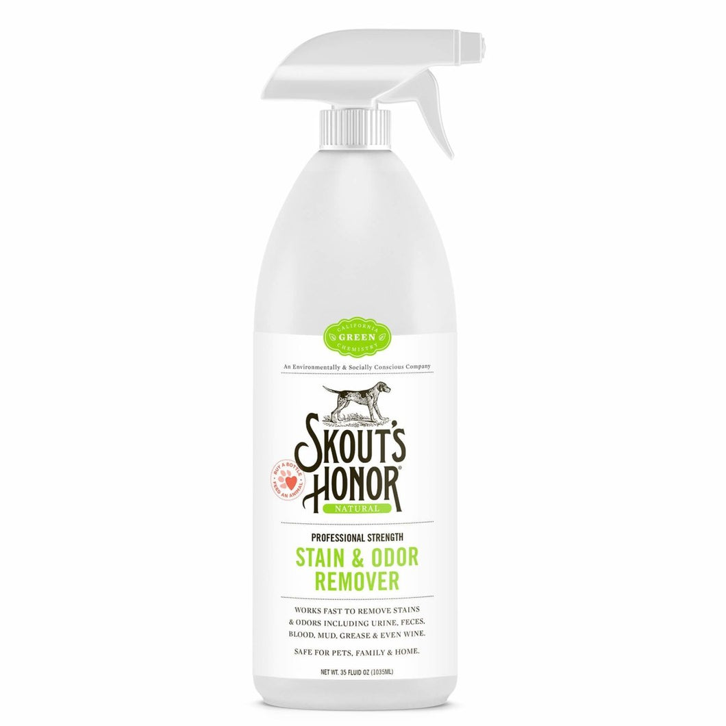 Stain & Odor Remover