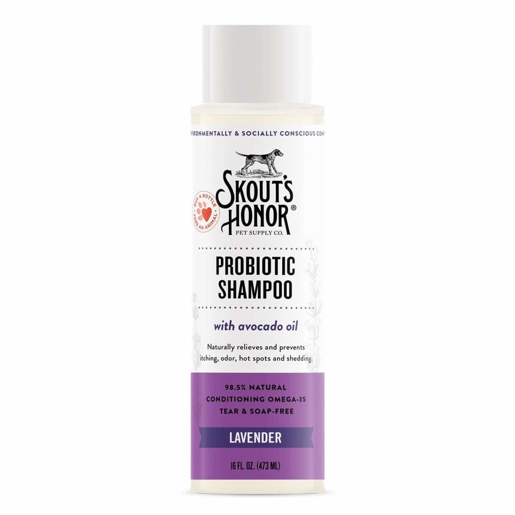 Probiotic Shampoo - Lavender