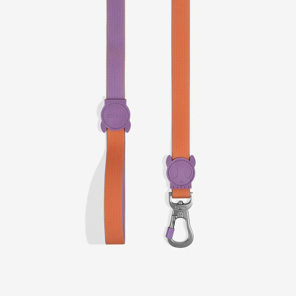 Zee Dog Leash - Neopro Iris