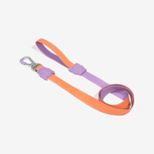 Load image into Gallery viewer, Zee Dog Leash - Neopro Iris
